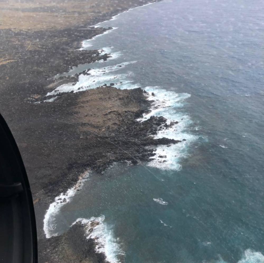 Meet your Posher, Roseane